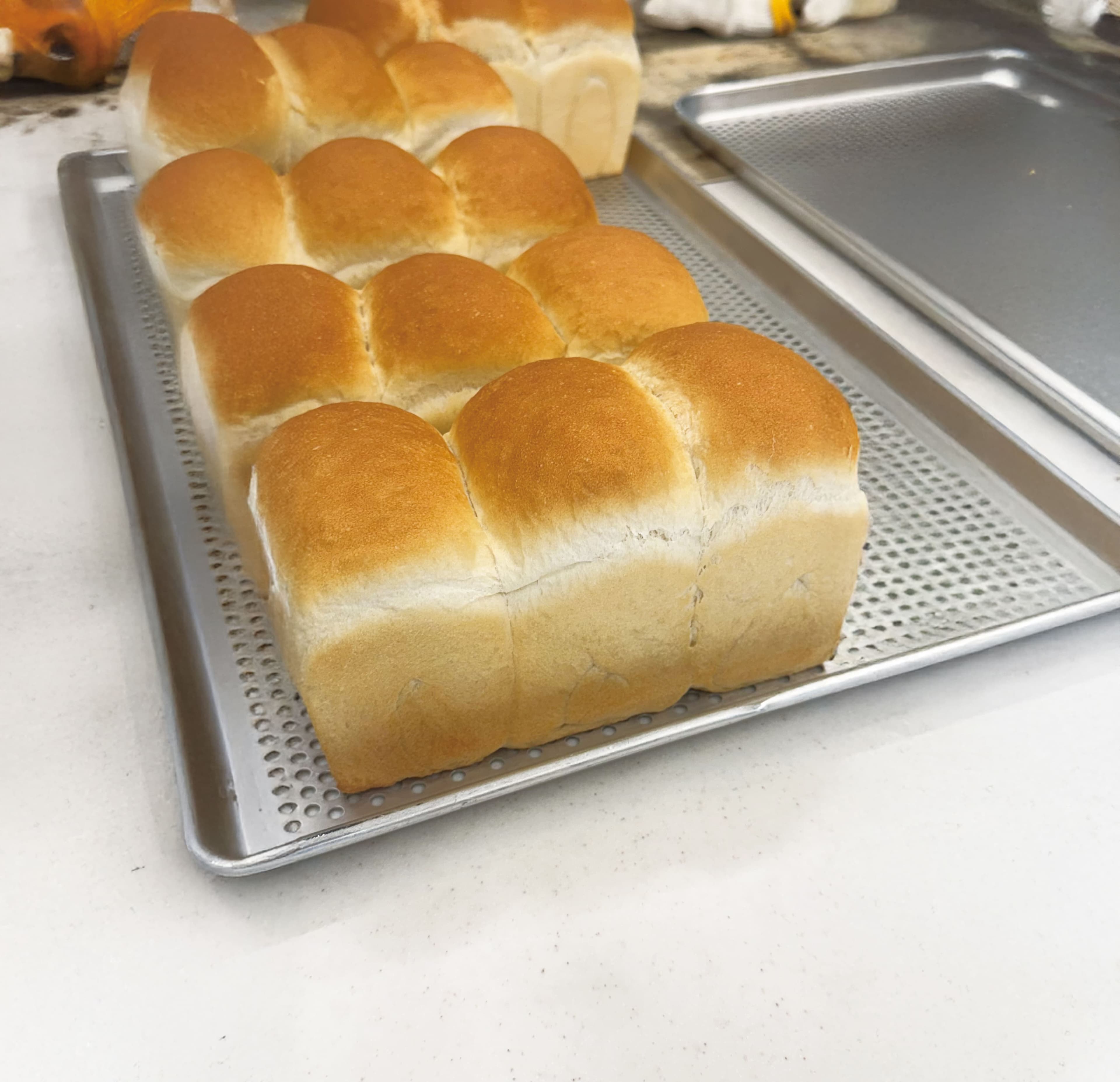 과정 상세 이미지