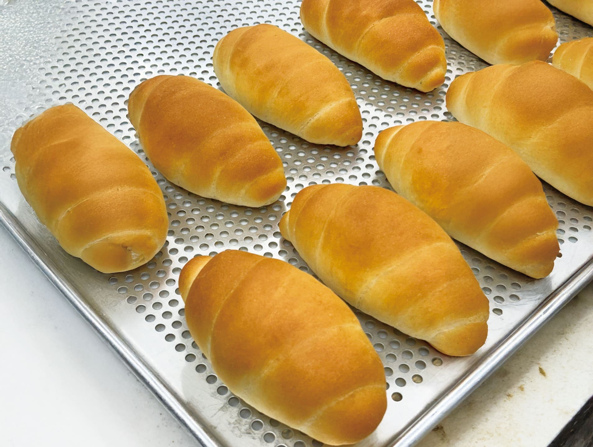 과정 상세 이미지 1