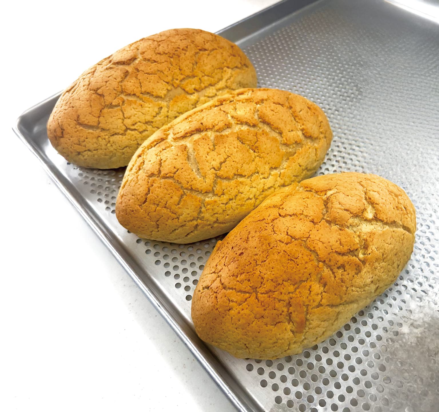 과정 상세 이미지